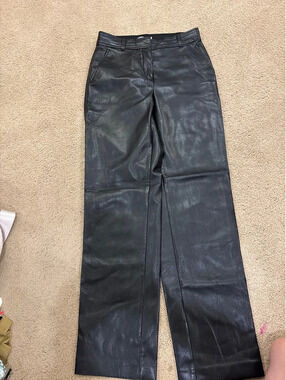 babaton leather pants